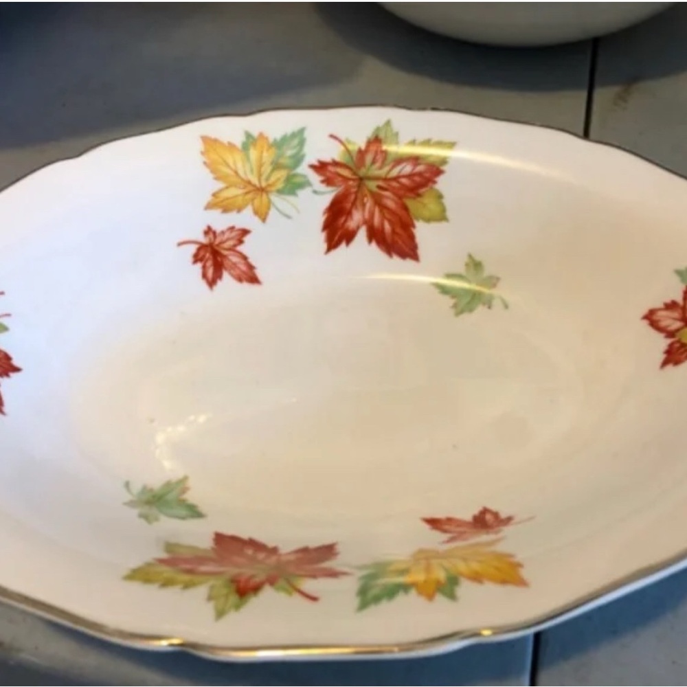 Cannonsburg pottery shallow bowl